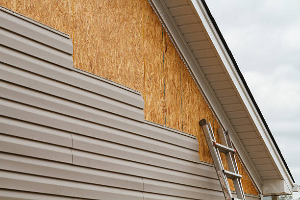 Professional Siding Inspection technician working in Leesburg, OH